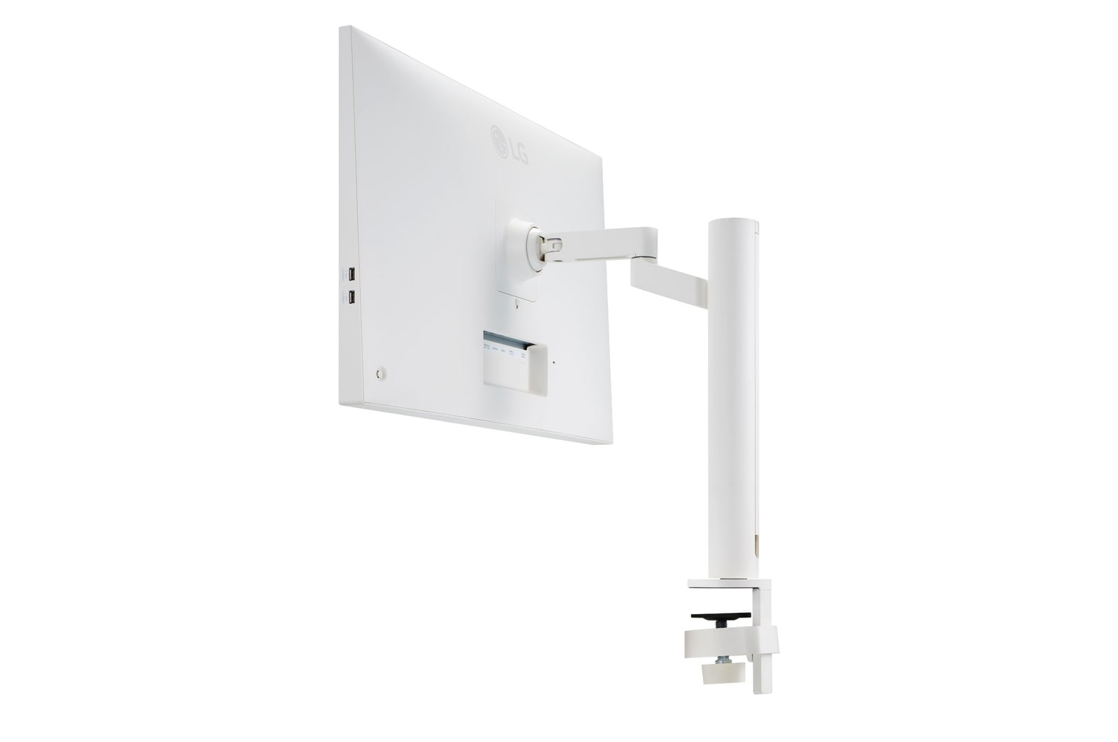 vista prospettica posteriore