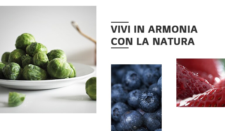 REF-NatureFRESH-Vplus-01-Story-03-Saving-Nature-Desktop2