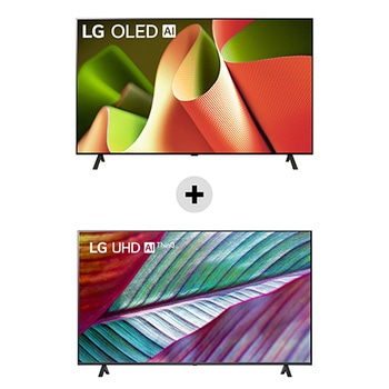 Kit esclusivo OLED77B46.55UR78