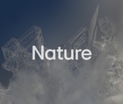 Cover screen_Natura