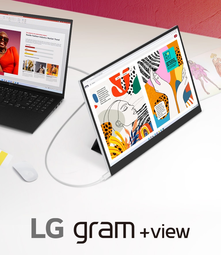 LG gram ＋view モバイルモニター　ケース付き