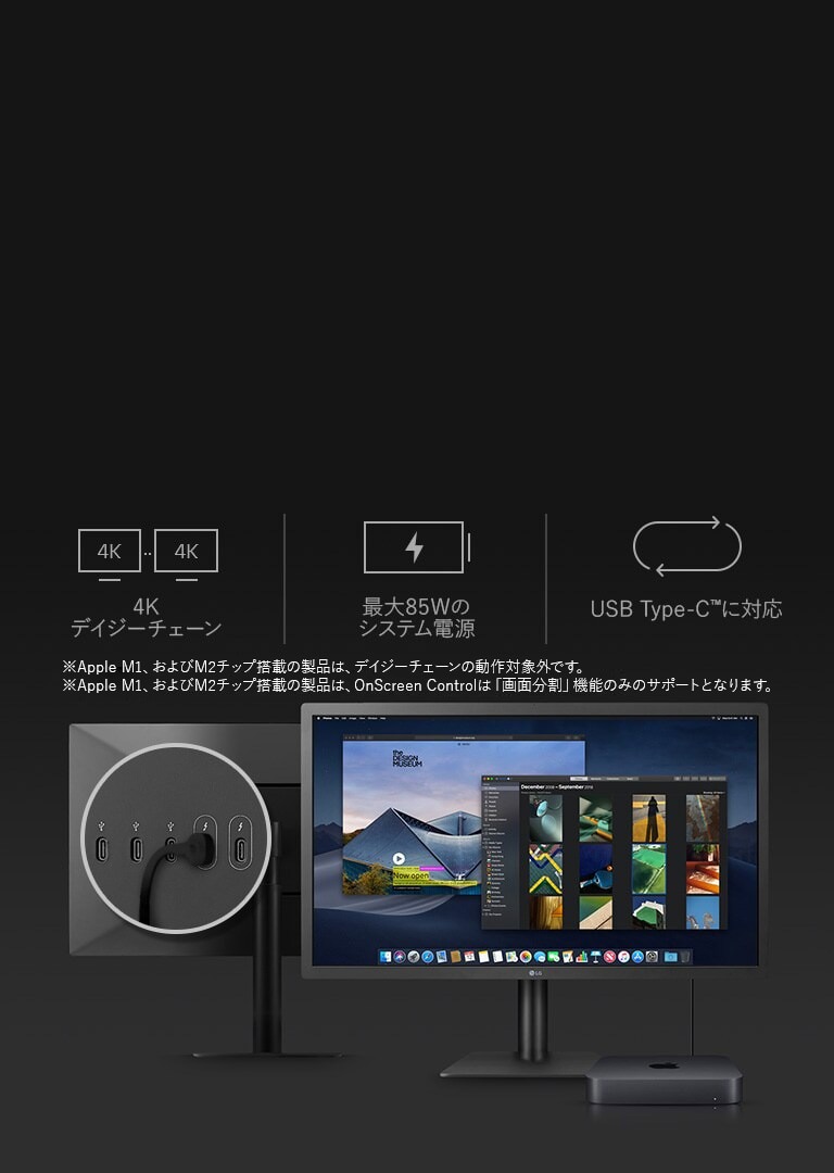 美品 LG UltraFine 4K ディスプレイ 24MD4KL-B 23.7