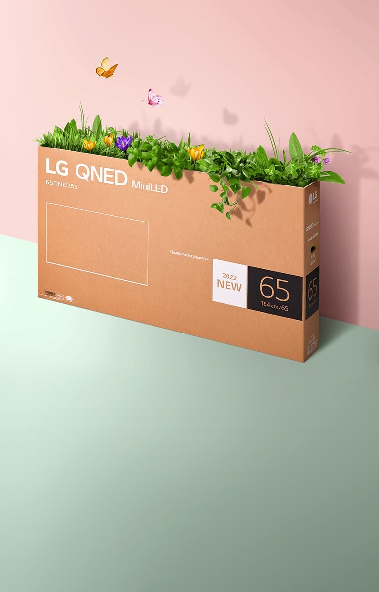 ピンク色と緑色を背景にして QNED のパッケージング用の箱が置かれています。箱の中からは草が生えチョウが飛んでいます。 