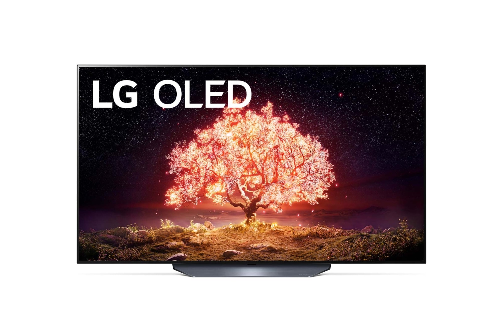 LG 55V型 有機ELテレビ OLED55B1PJA, OLED55B1PJA