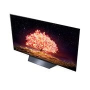 LG 55V型 有機ELテレビ OLED55B1PJA, OLED55B1PJA