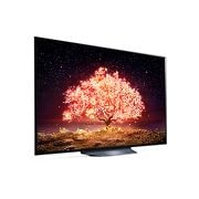 LG 65V型 有機ELテレビ OLED65B1PJA, OLED65B1PJA