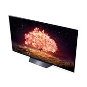 LG 65V型 有機ELテレビ OLED65B1PJA, OLED65B1PJA