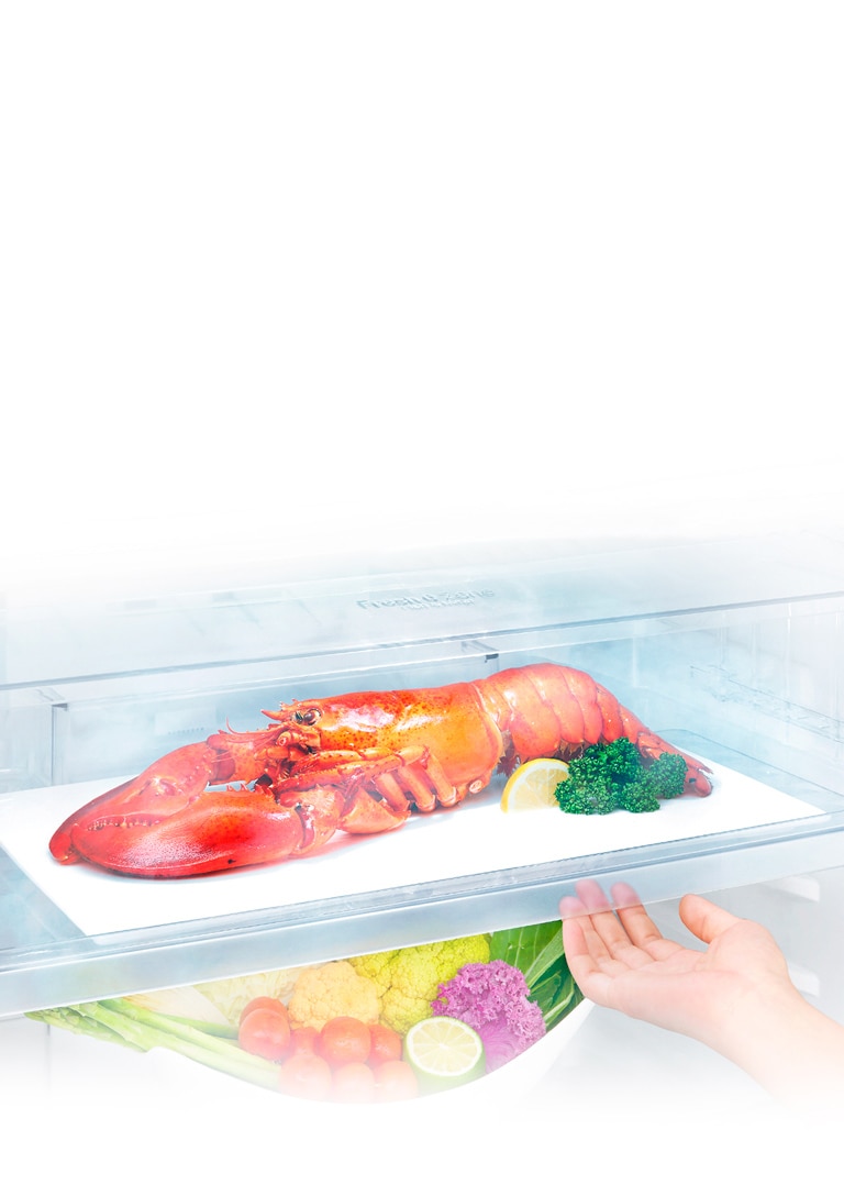 На фото ящик холодильника, внутри ящика на белой тарелке лобстер с лимоном и зеленью.