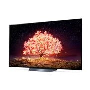 LG Smart OLED-телевизор B1, 65 дюймов, 4K, OLED65B1RLA