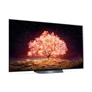 LG Smart OLED-телевизор B1, 65 дюймов, 4K, OLED65B1RLA