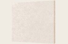 Цветовой чип для цвета skin beige.