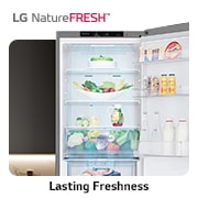 LG Réfrigérateur 341L I Combine I Compresseur Smart Inverter, GR-B489FMGW