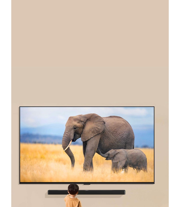 Un LG TV monté sur le mur d’une salle de séjour avec un LG Soundbar monté directement en dessous. Le téléviseur affiche deux éléphants, et un petit enfant est debout devant le téléviseur.