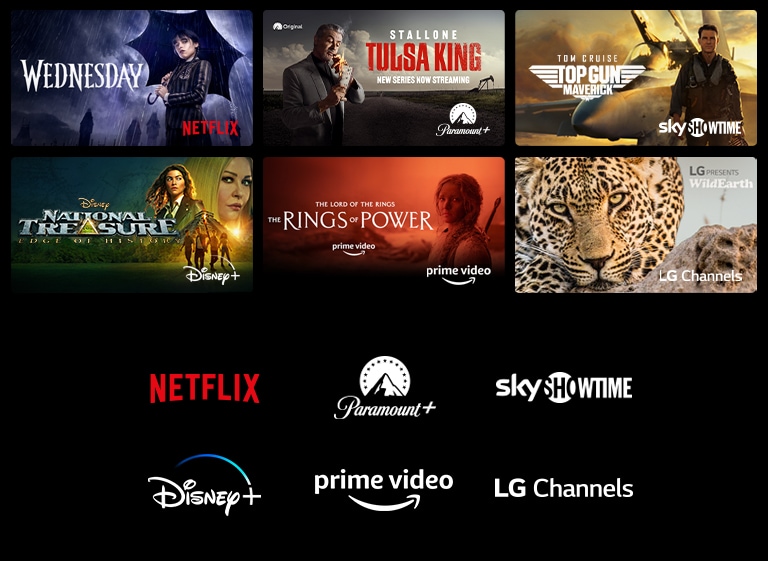 On voit un poster des séries Wednesday de Netflix, National Treasure de Disney+, The Rings of Power de Prime Video, Ted Lasso d’Apple TV Plus et un arrêt sur image de LG Channels présentant un léopard dans la nature.