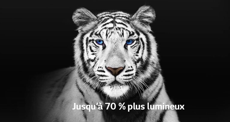 Vidéo montrant 2 images d’un tigre blanc côte-à-côte. La face représentant le Brightness Booster Max apparaît jusqu’à 70 % plus lumineuse puis remplit l’écran.