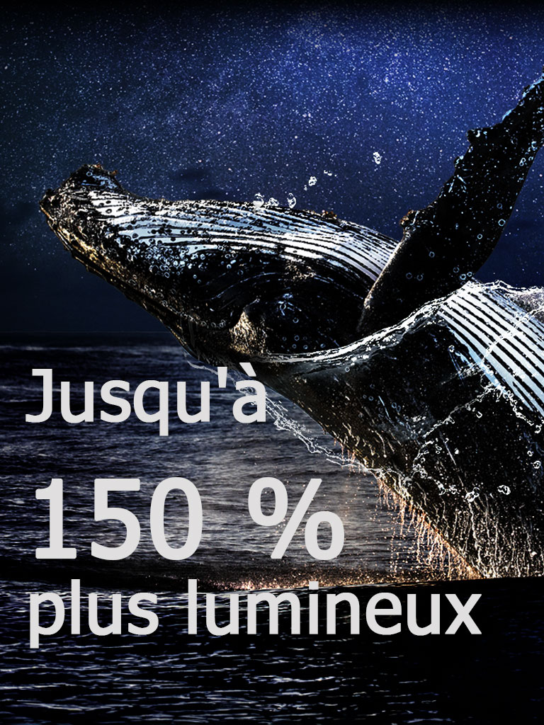 Une baleine sautant hors de l'océan sur fond noir. Les mots "jusqu'à 150 % plus lumineux" apparaissent au-dessus de la baleine et deviennent plus lumineux.