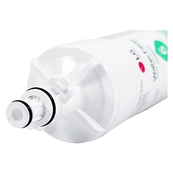 vista de primer plano