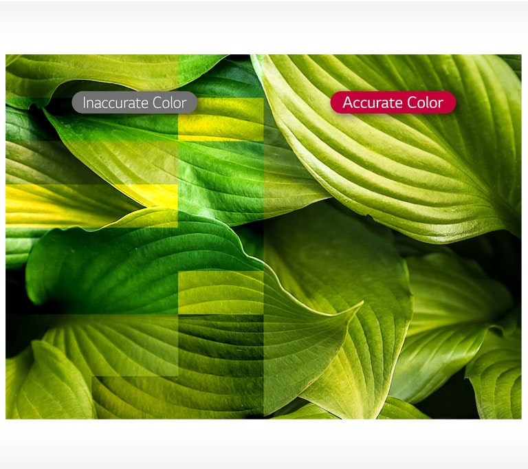 D10_ID-LED-08-Vividness-with-Color-Accuracy_1554423351306