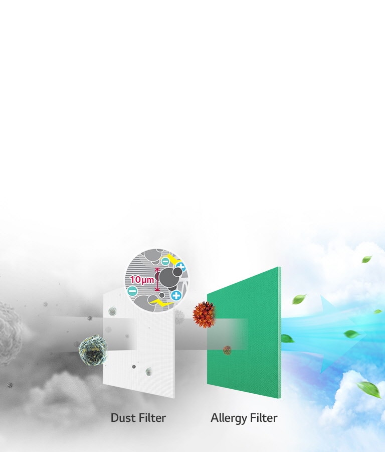 Elimina alérgenos como ácaros del polvo doméstico que flotan en el aire.