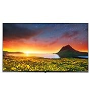 LG 4K UHD Hospitality TV con Pro:Centric Direct, 55UR770H0UA