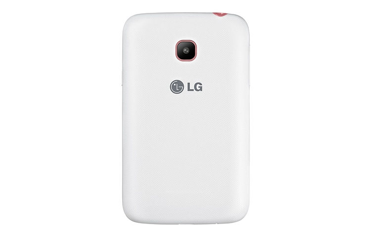 LG L20, D100g