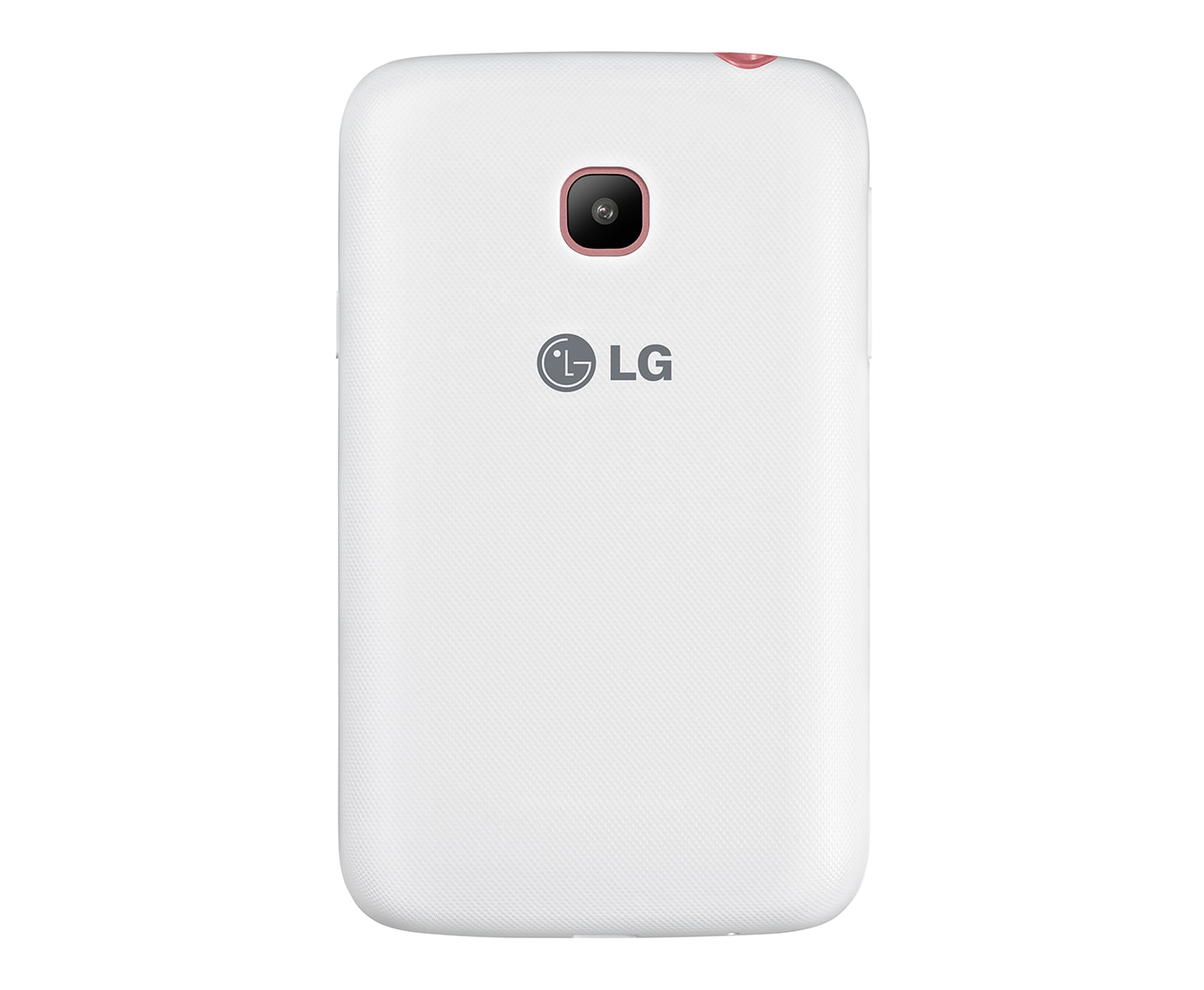 LG L20, D100g