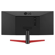 LG 29" UltraWide™ Full HD HDR IPS Monitor, 29WP60G-B