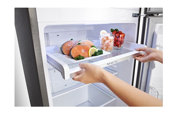 LG Top Mount de 10´ color Platinum Silver, GT28BPPX