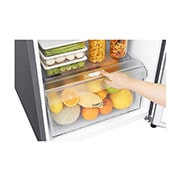 LG Refrigerador Top Freezer 11 pies³ , GT32WPK