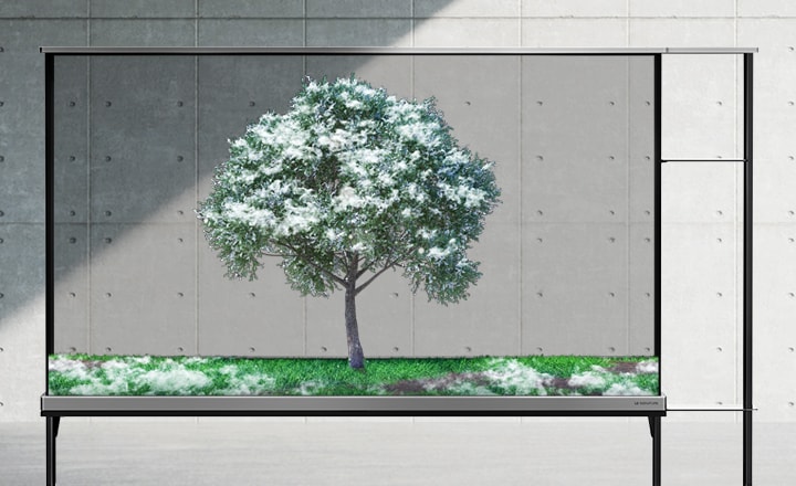 LG SIGNATURE OLED T muestra una pantalla transparente con un árbol verde. La sombra se extiende a medida que la estación cambia a invierno y la nieve cae sobre el árbol.