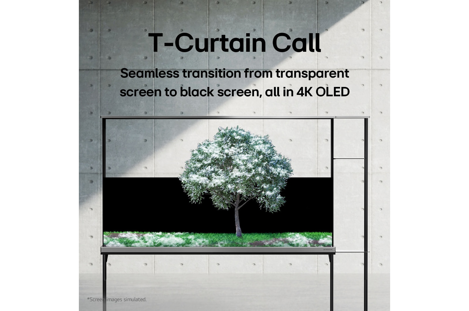 LG SIGNATURE OLED T displaying a green tree that’s been snowed on.