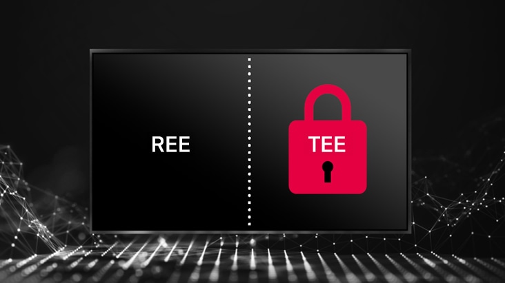 This image depicts the division of REE/TEE spaces on a display, with a lock icon on the TEE to signify security.