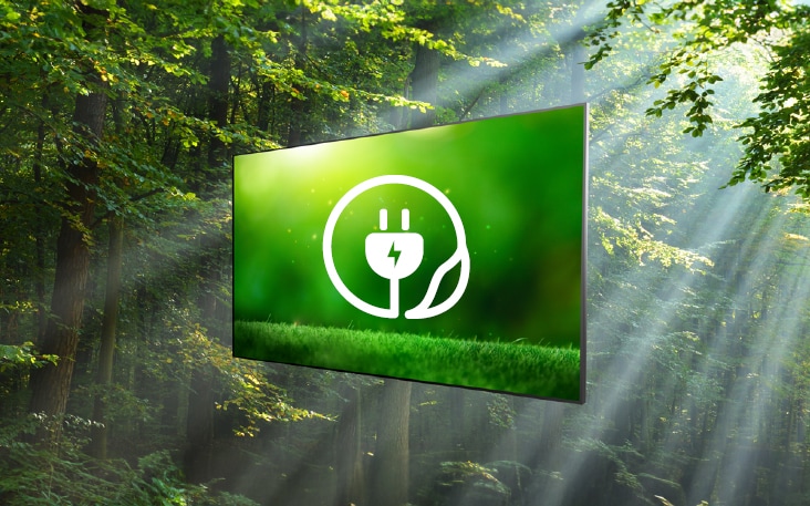 This image highlights a natural background outside the display, alongside a screen showing nature, representing an environmental theme.