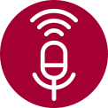 Voice Control Icon