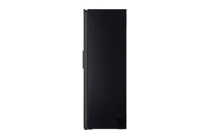 LG 384L Single Door Fridge in Mint Finish, GC-B411FGPF
