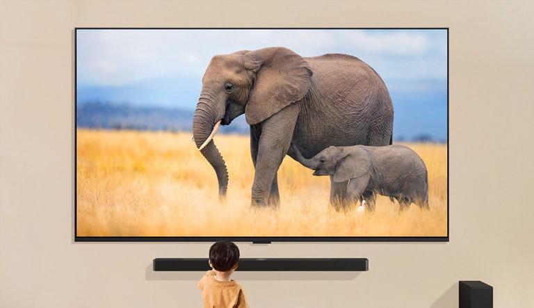 A child is standing in front of a large TV displaying an image of two elephants, one adult and one baby, walking in a grassy field.