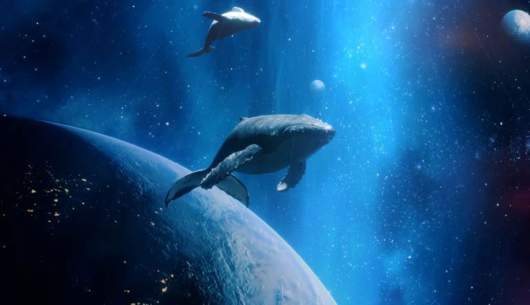 Two whales swim in a bluish galaxy among planets. The video slowly zooms out to reveal a wall-mounted LG QNED TV and LG Soundbar with Synergy Bracket on the wall of a cozy living room.