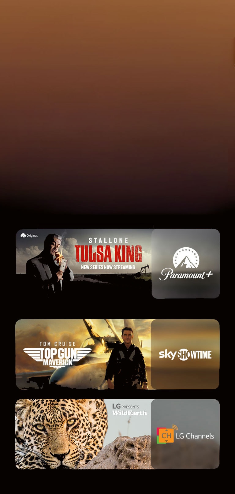 There are logos of streaming service platforms and matching footages right next to each logo. There are images of Paramount+, Skyshowtime, andLG Channel The rings of power.