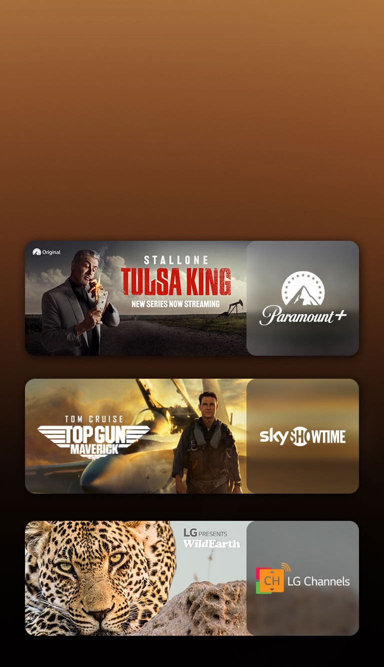 There are logos of streaming service platforms and matching footages right next to each logo. There are images of Paramount+'s Tulsa King, sky showtime's TOP GUN, and LG CHANNELS' leopard.