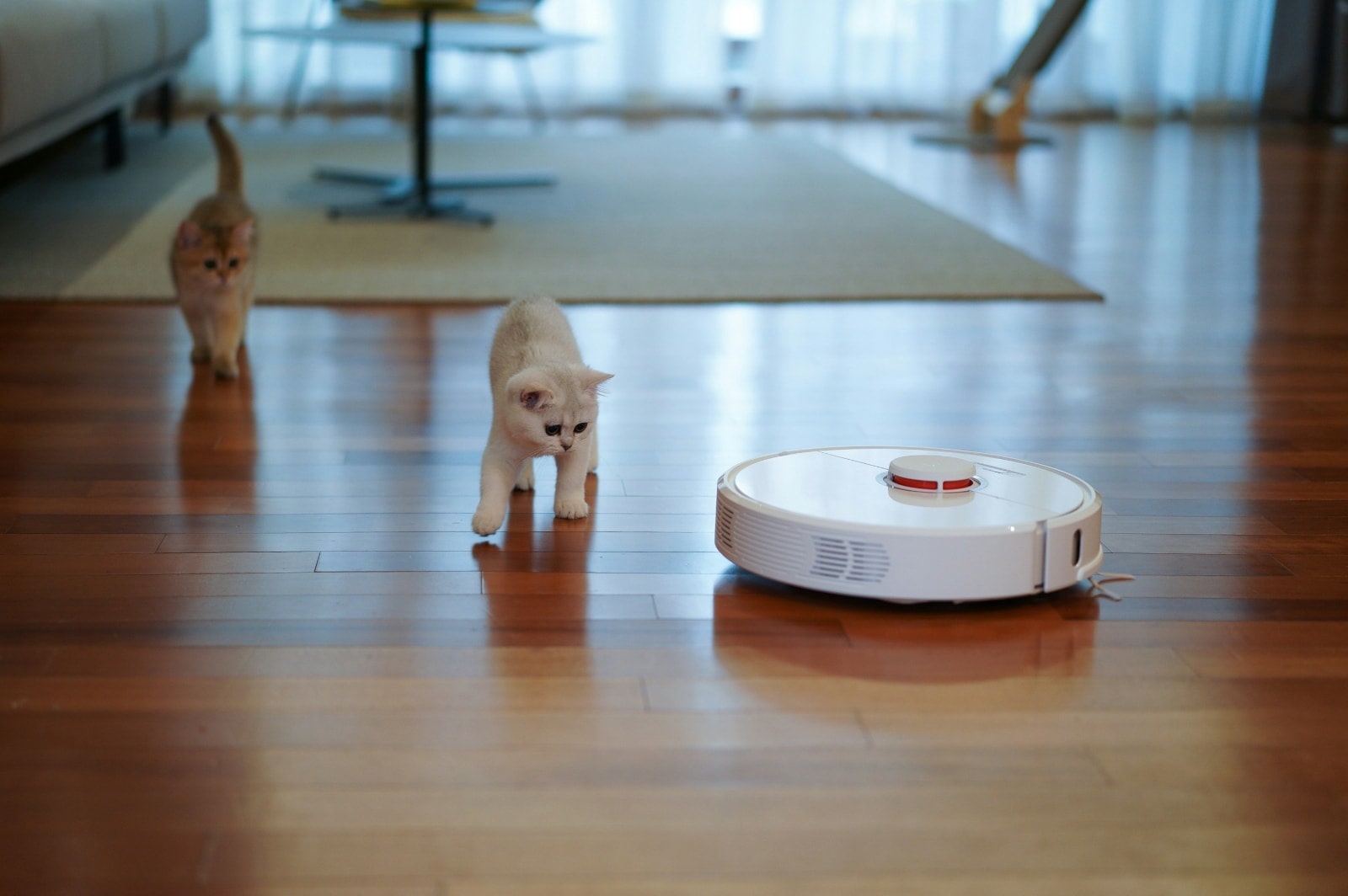 Cordless Stick vs. Robot Vacuum Comparison