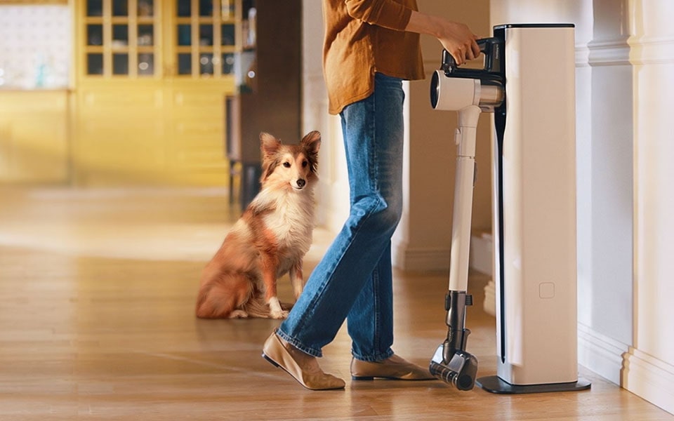 The Must-Have Vacuum for Pet Families