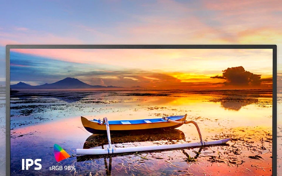 What is an IPS Monitor?