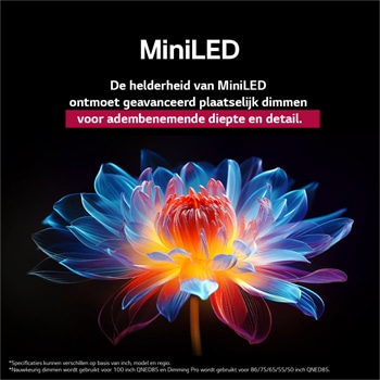 3D holografische bloem in veel verschillende tinten tegen een zwarte achtergrond. De definitie en het detail van de bloem laten zien dat QNED MiniLED beelden kan produceren met uitzonderlijke kleuren, helderheid en contrast. De titel vertelt hoe MiniLED de helderheid verbetert en een uitzonderlijk contrast biedt.