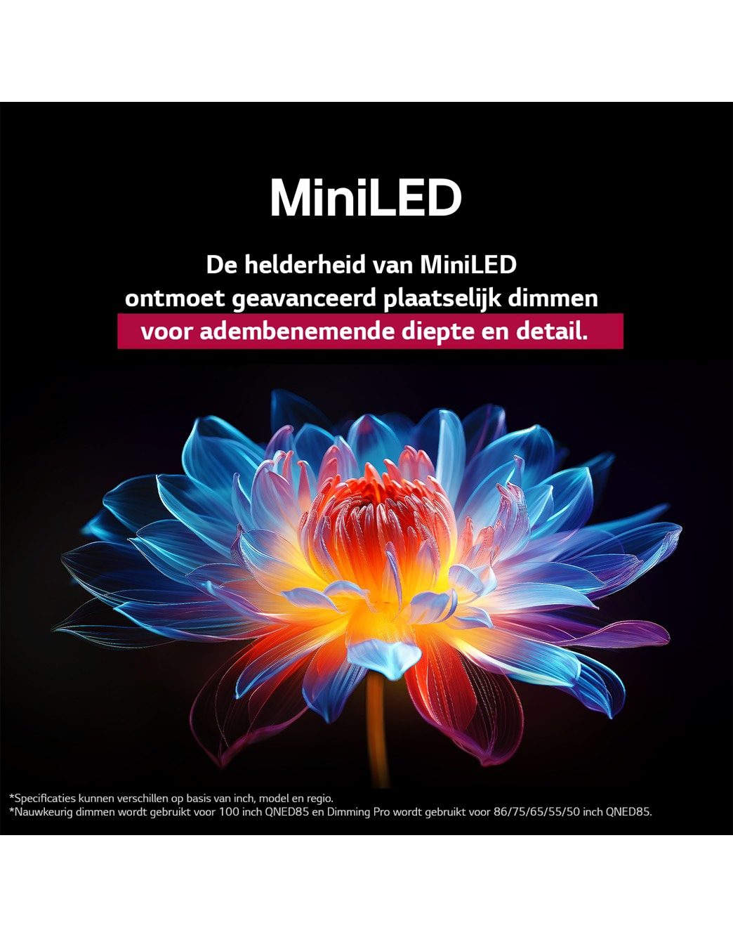 3D holografische bloem in veel verschillende tinten tegen een zwarte achtergrond. De definitie en het detail van de bloem laten zien dat QNED MiniLED beelden kan produceren met uitzonderlijke kleuren, helderheid en contrast. De titel vertelt hoe MiniLED de helderheid verbetert en een uitzonderlijk contrast biedt.