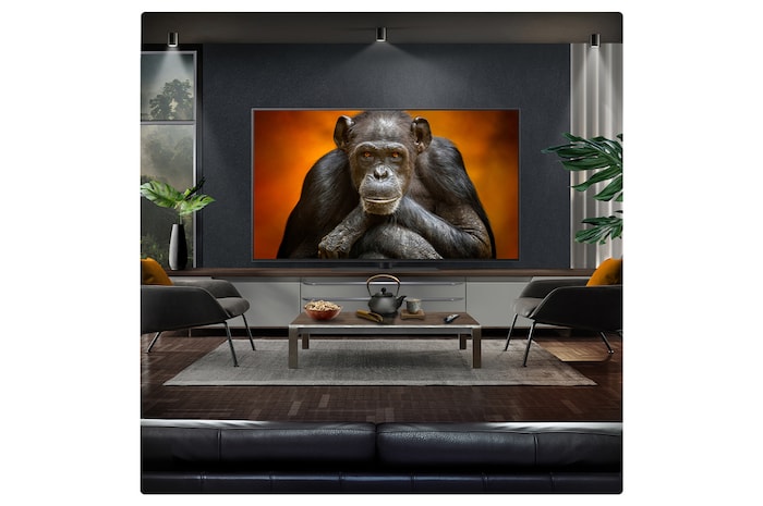 LG 55 inch LG OLED evo AI G5 4K Smart TV 2025, OLED55G56LS