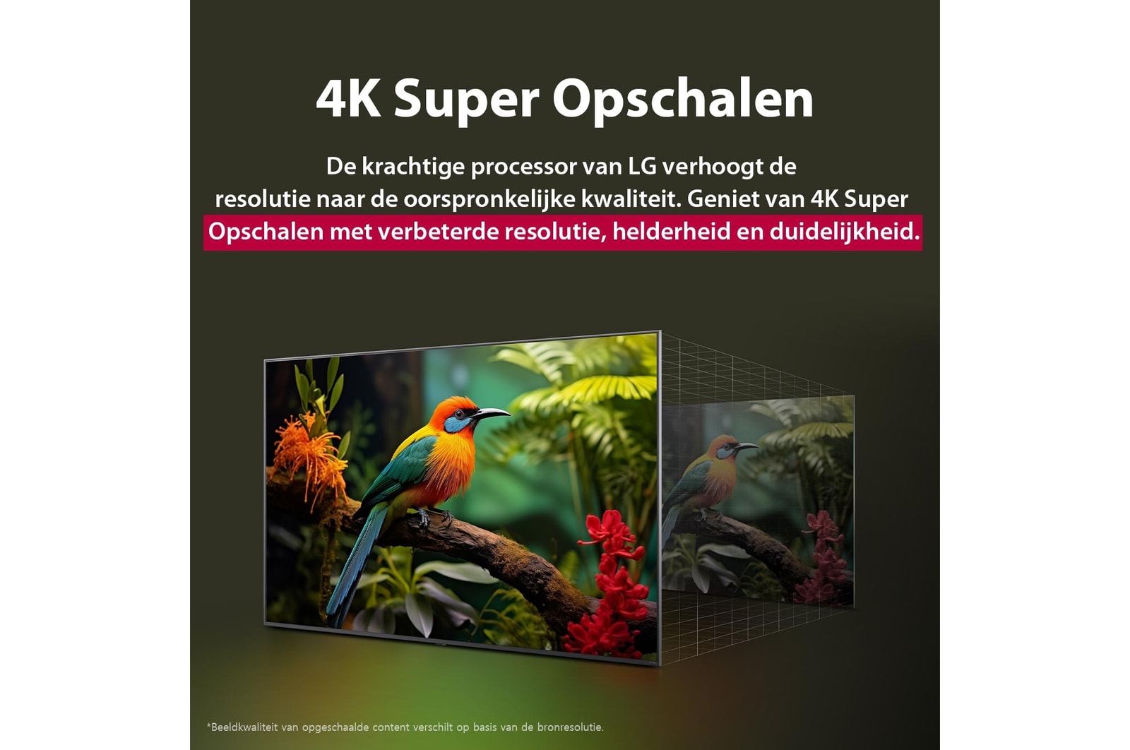 Vóór en na vergelijking van hoe LG 4K Super Opschalen de beeldkwaliteit verbetert. Twee panelen met dezelfde afbeelding van een kleurrijke vogel die op een tak in een bos zit; het rechter paneel is vervaagd. De titel beschrijft hoe 4K Super Opschalen de resolutie, helderheid en duidelijkheid verbetert.