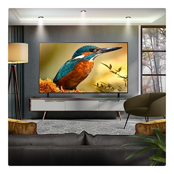 LG 75 inch LG QNED evo AI QNED85 MiniLED 4K Smart TV 2025, 75QNED85A6C