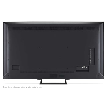 Papegaai op een boomtak in levendige kleur. De titel bespreekt hoe LG Al Picture Pro indrukwekkende visuele verbeteringen maakt in de resolutie, helderheid en diepte van de scene.