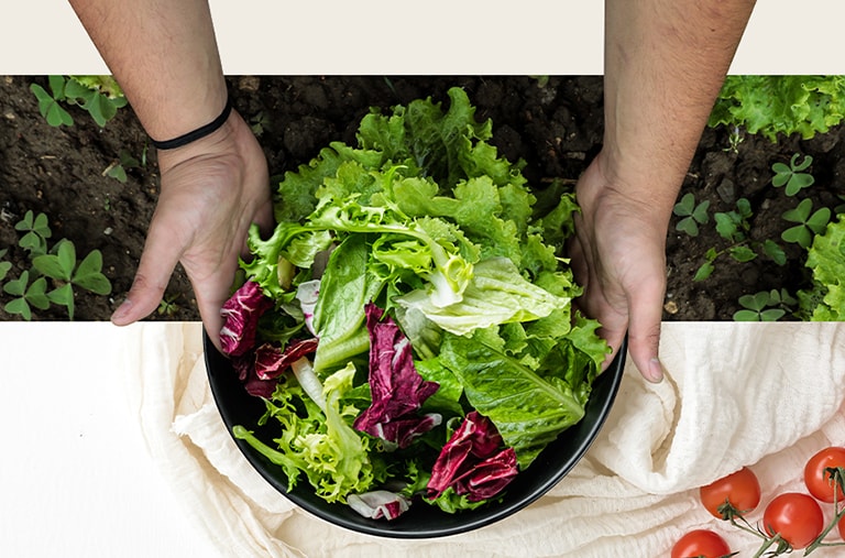 Het bovenste deel is het oogsten van sla op het veld. Het onderste deel is een verse salade op een rond bord. Groenten zijn verbonden, alsof ze één afbeelding zijn.