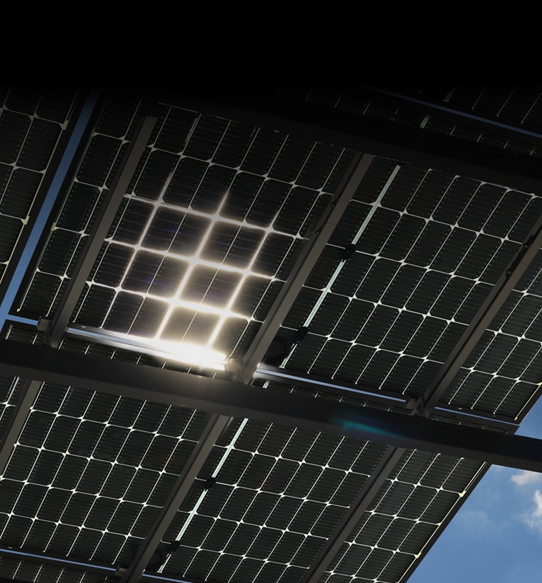 Beeld van NeON® H Bifacial op het dak